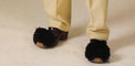 Highslide JS